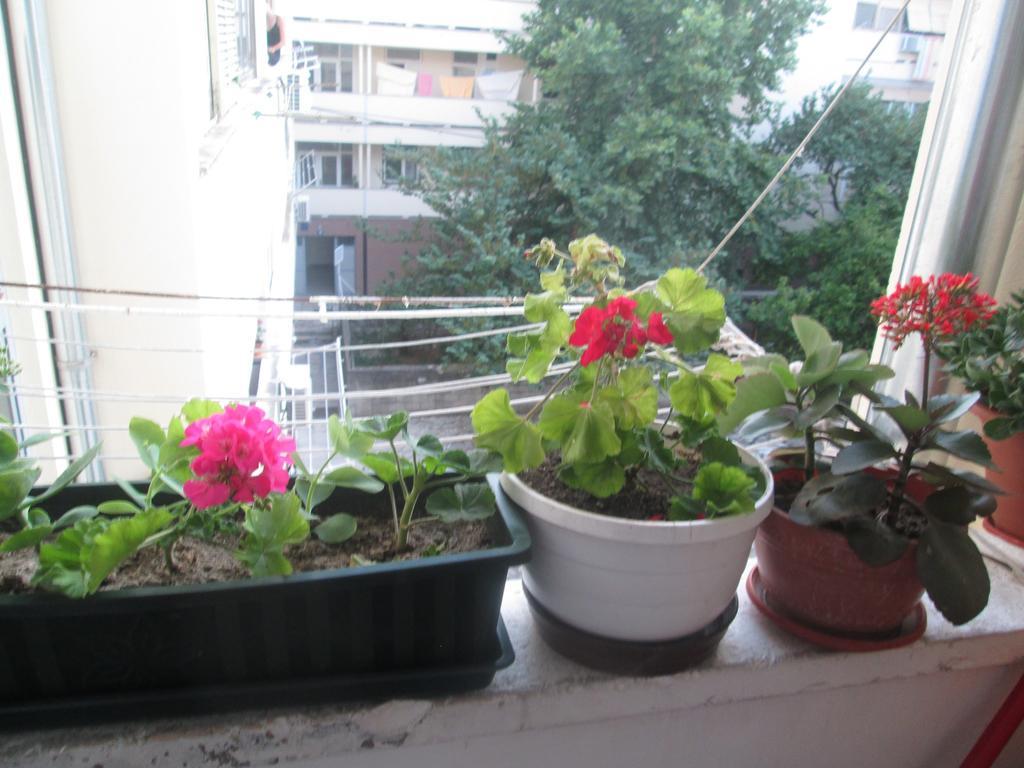 Guest House Marija Zadar Luaran gambar